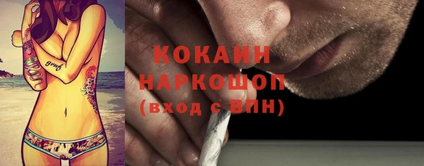 шишки Белокуриха