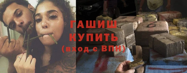 шишки Белокуриха