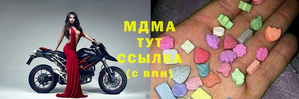 шишки Белокуриха