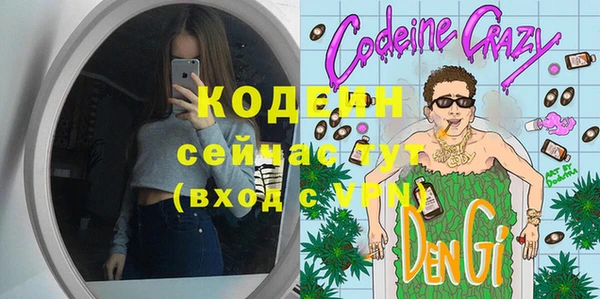 шишки Белокуриха