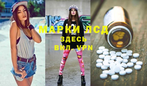 шишки Белокуриха