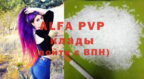 шишки Белокуриха