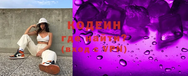 шишки Белокуриха