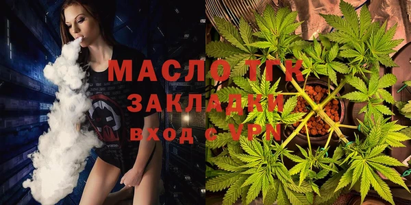шишки Белокуриха