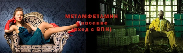 шишки Белокуриха